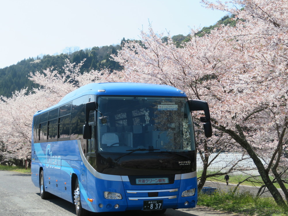 花見を楽しむ大型バス