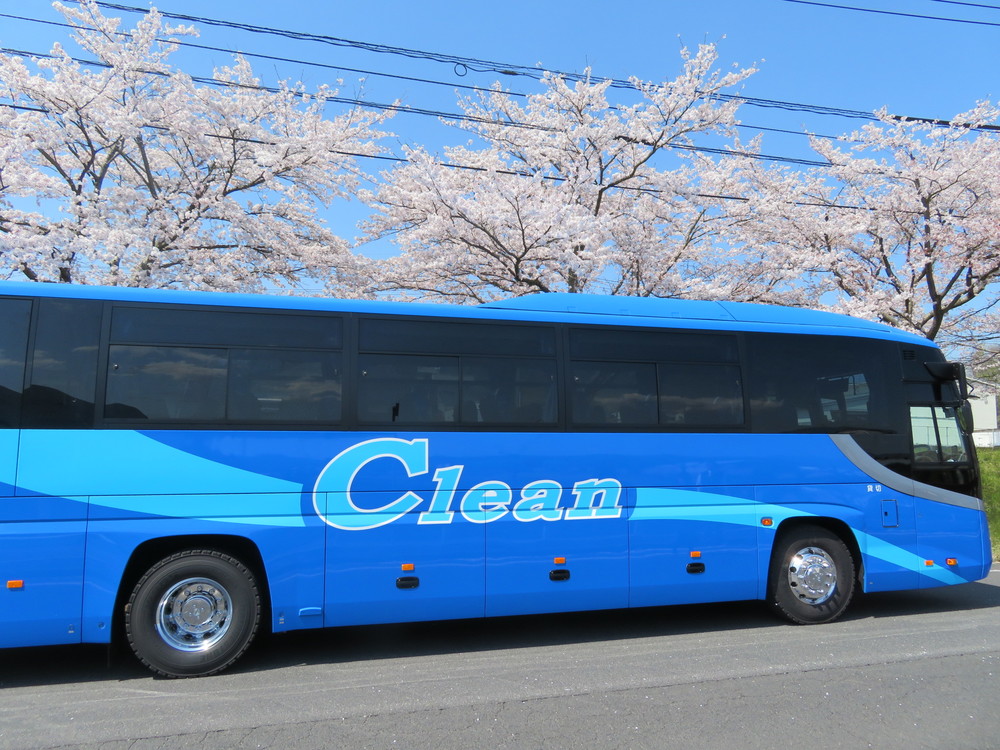 花見を楽しむ大型バス