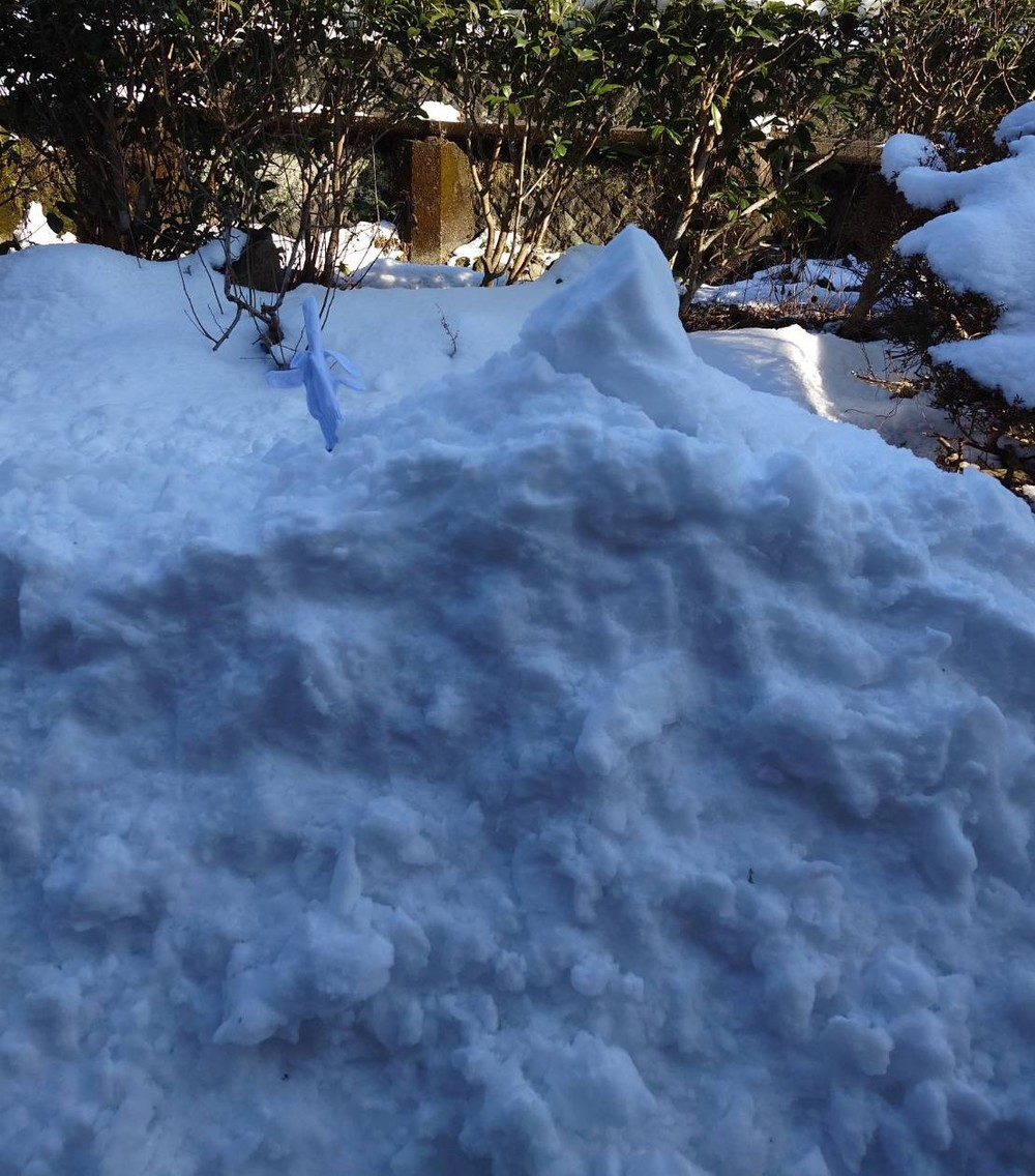 雪だるまその後
