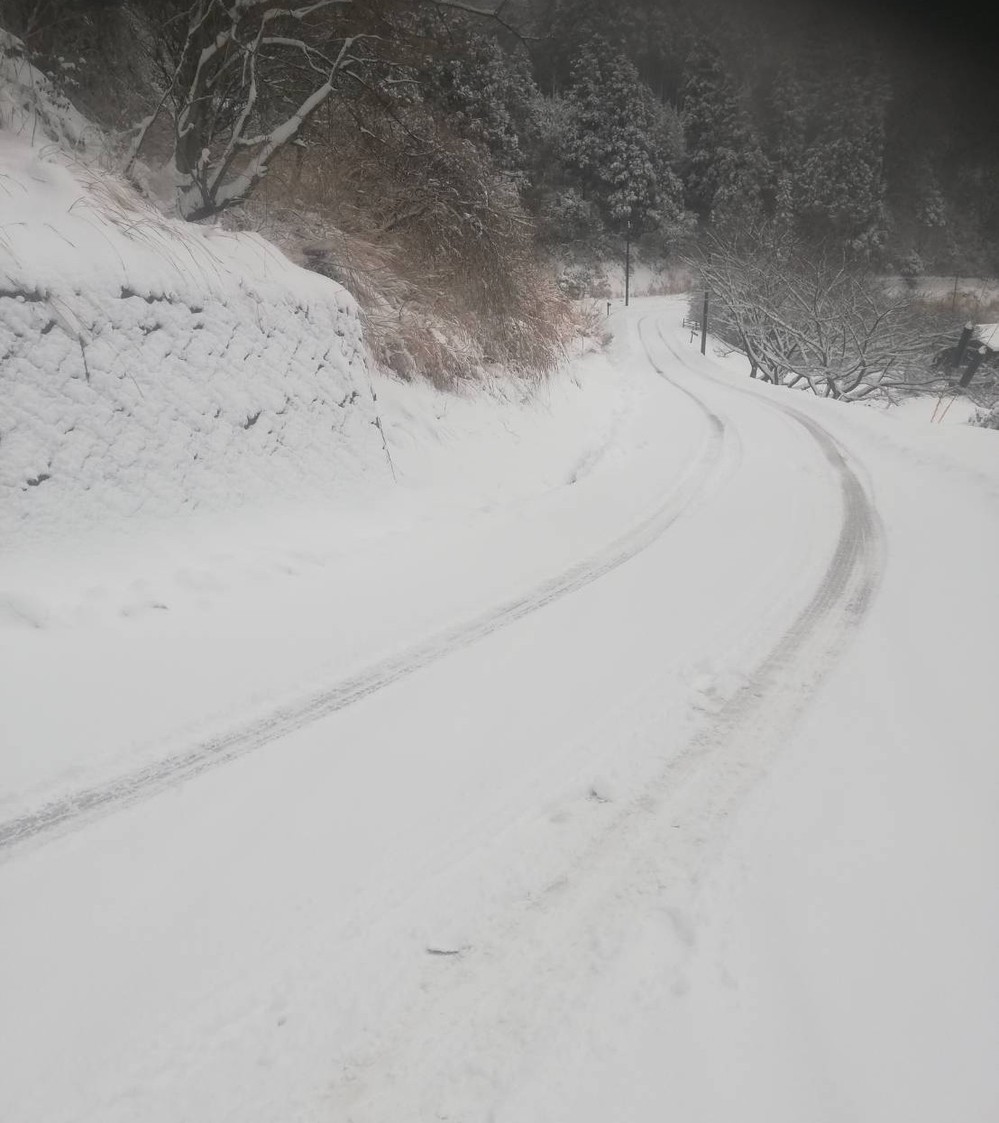 雪城床２