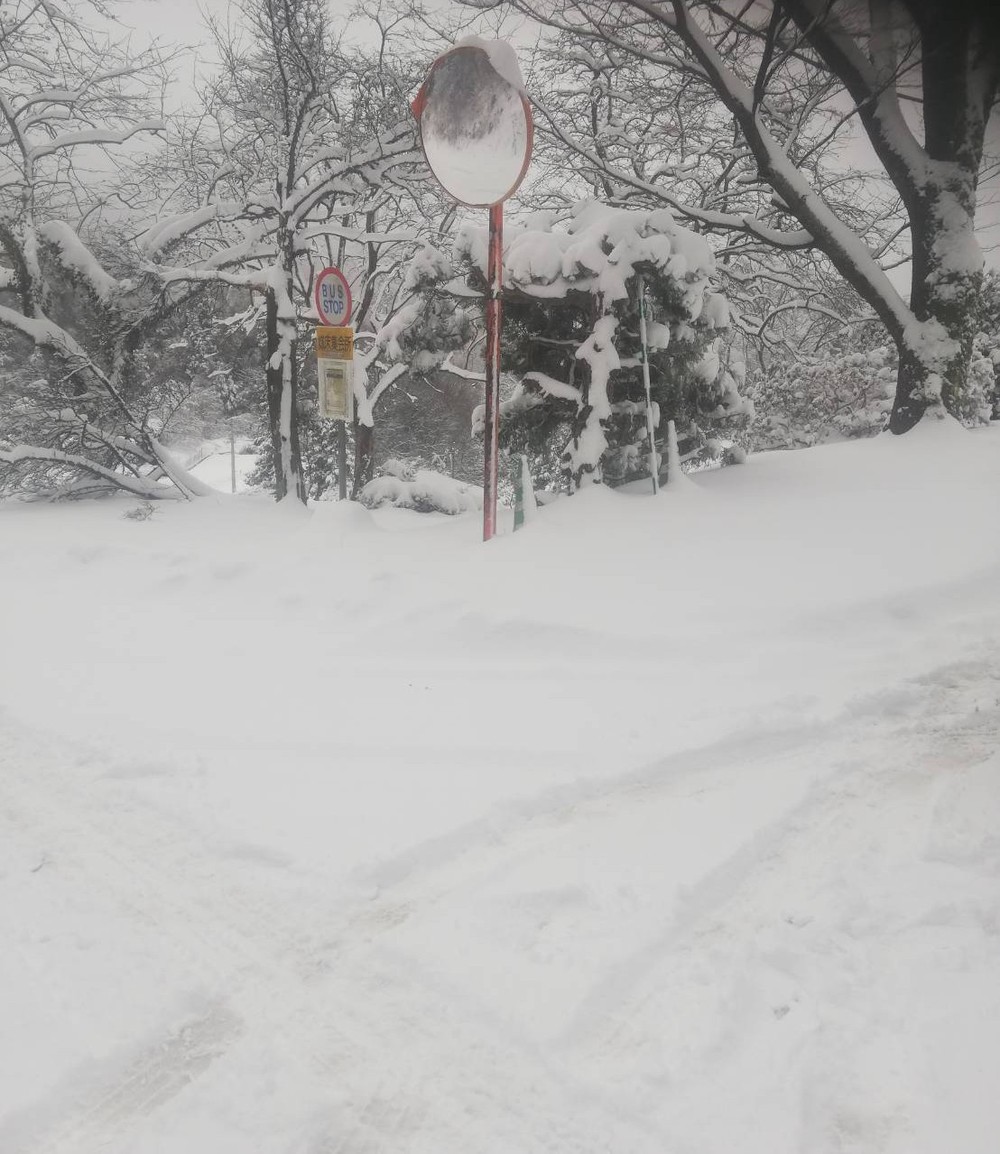 雪城床３